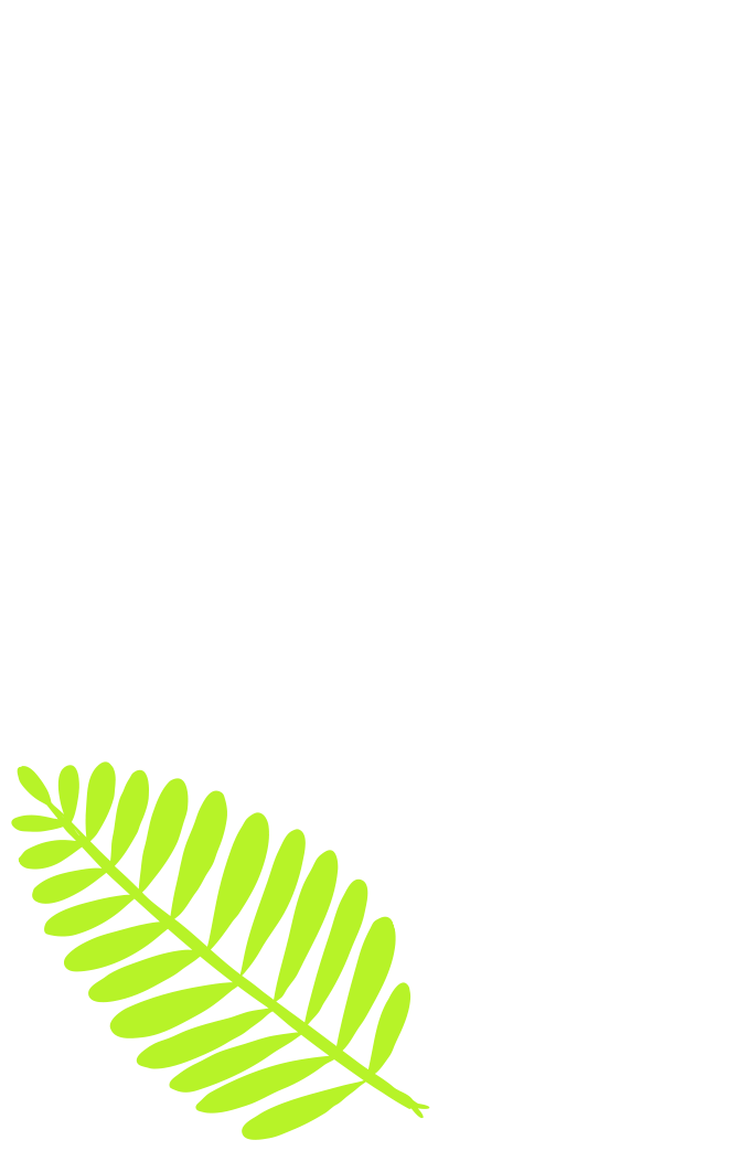 CBWA̔wi05